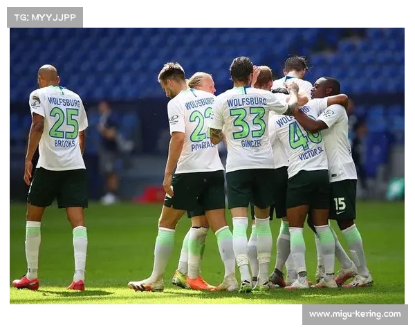 德甲财政公平法案实施困境,豪门与保级队资源差距持续扩大